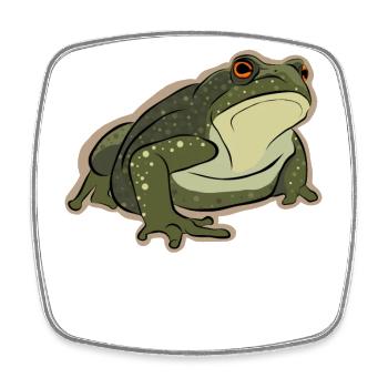 Rainette Crapaud Têtard Grenouille reproductrice Grenouille - Magnet carré - blanc - Devant