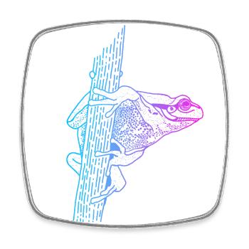 Rainette Crapaud Têtard Grenouille reproductrice Grenouille - Magnet carré - blanc - Devant