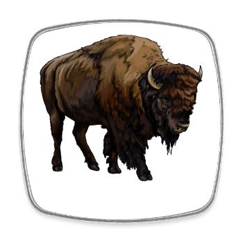 Büffel Amerikanischer Bison Bovinae Liebhaber Bison - Viereckiger Kühlschrankmagnet - Weiß - Vorne