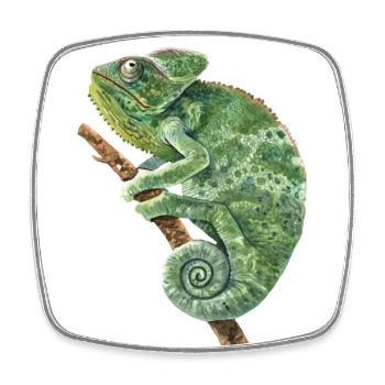 Panthère voilée Chamaeleonidae amant Caméléon - Magnet carré - blanc - Devant