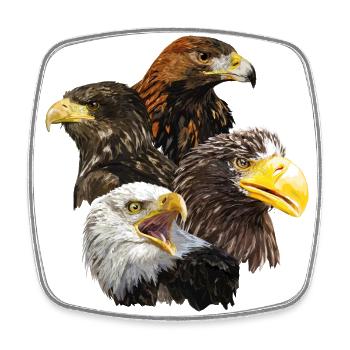 Pigargos et Eagle - Magnet carré - blanc - Devant