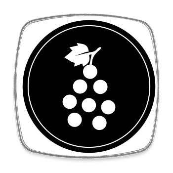 Weintrauben Symbol - Viereckiger Kühlschrankmagnet - Weiß - Vorne