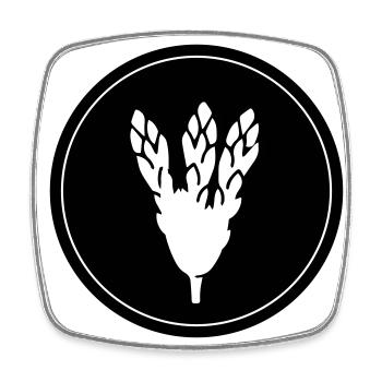 Asparagus Vegetables - Square fridge magnet - white - Front