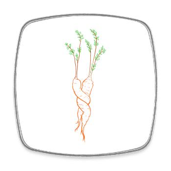 Cuddles HUGS carrots line art - Square fridge magnet - white - Front
