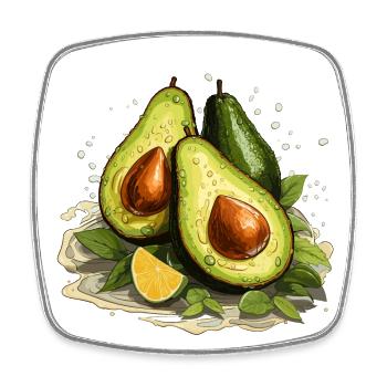 Avocado - Illustration - Viereckiger Kühlschrankmagnet - Weiß - Vorne