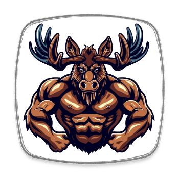 Musculation Moose Muscles Musculation - Magnet carré - blanc - Devant