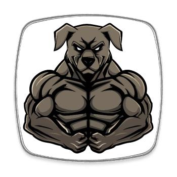 Kangal Dog Muscles Bodybuilding - Square fridge magnet - white - Front