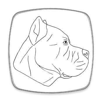 Cane Corso - Viereckiger Kühlschrankmagnet - Weiß - Vorne
