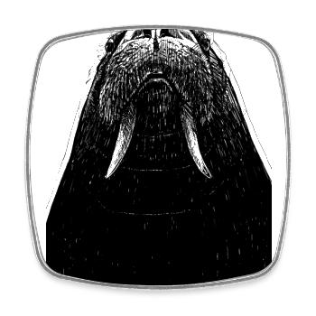 Walrus drawing - Square fridge magnet - white - Front