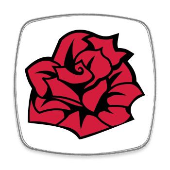 6254398 135442652 Rose - Magnet carré - blanc - Devant