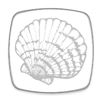 Muschelschale Linienstudie - Viereckiger Kühlschrankmagnet - Weiß - Vorne