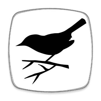 bird sitting on the branch - Square fridge magnet - white - Front