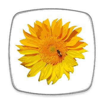 sonnenblume Biene - Viereckiger Kühlschrankmagnet - Weiß - Vorne