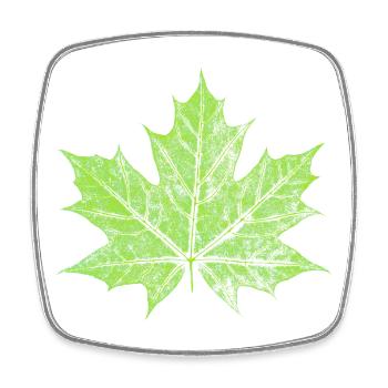Feuille d’érable - VERT - Naturel / Design forestier - Magnet carré - blanc - Devant