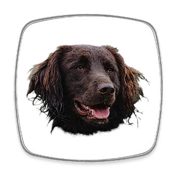 Münsterländer, chiens, chien de chasse - Magnet carré - blanc - Devant