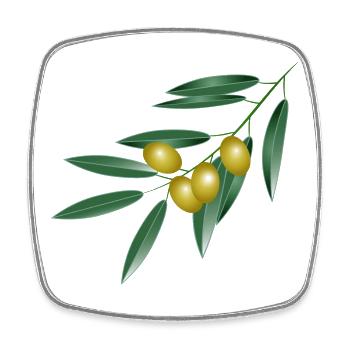 Branche d'olivier aux quatre olives. Symbole de paix - Magnet carré - blanc - Devant