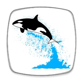 Orca, killer whale, killer whale, killer whale, sea - Square fridge magnet - white - Front