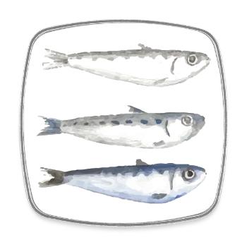 sardine - Square fridge magnet - white - Front