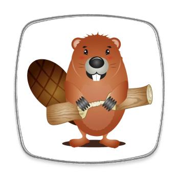 Mignon rongeur castor au bois grignoté - Magnet carré - blanc - Devant