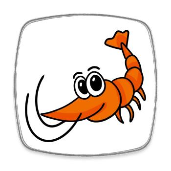 Crevettes crevettes - Magnet carré - blanc - Devant
