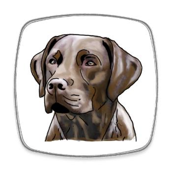 Labrador - Magnet carré - blanc - Devant