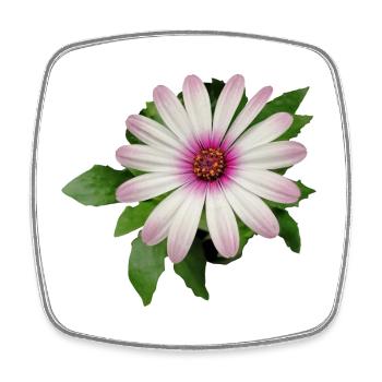 PURPLE AND WHITE CAPE BASKET FLOWER - Square fridge magnet - white - Front