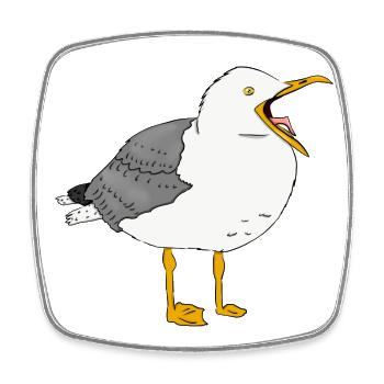 Seagull Bird Baltic Sea Sea North Sea Beach Coast Island - Square fridge magnet - white - Front