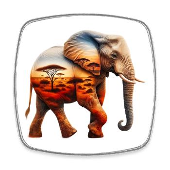 Elefant - Viereckiger Kühlschrankmagnet - Weiß - Vorne
