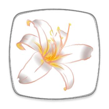 WHITE LILYLILY Magic White Lily - Square fridge magnet - white - Front