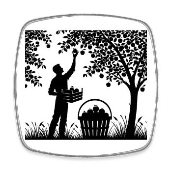 charmante Garten Silhouette Mann pflückt Äpfel - Viereckiger Kühlschrankmagnet - Weiß - Vorne