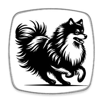 Spitz - Viereckiger Kühlschrankmagnet - Weiß - Vorne