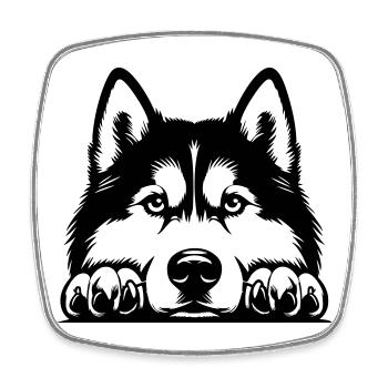 Husky Kopf mit Pfoten - Viereckiger Kühlschrankmagnet - Weiß - Vorne