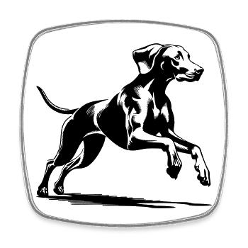 Weimaraner - Viereckiger Kühlschrankmagnet - Weiß - Vorne