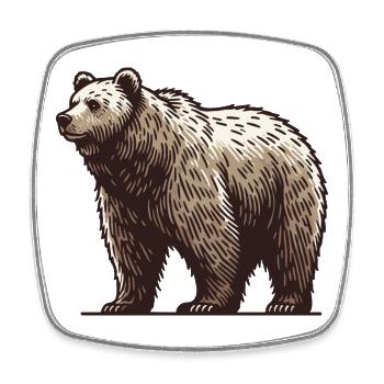 Grizzly - Magnet carré - blanc - Devant