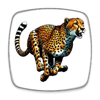 Gepard - Viereckiger Kühlschrankmagnet - Weiß - Vorne
