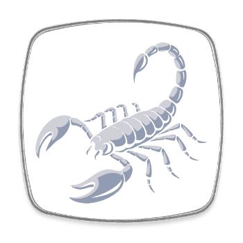Grimmiger Skorpion - Viereckiger Kühlschrankmagnet - Weiß - Vorne