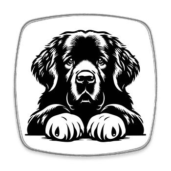 Newfoundland - Square fridge magnet - white - Front