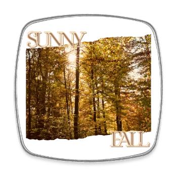 Sunny Fall - Herbstsonne im Wald - Viereckiger Kühlschrankmagnet - Weiß - Vorne