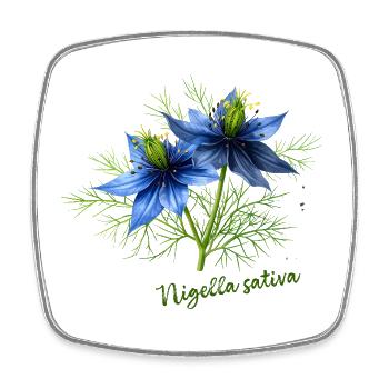Nigella sativa - botanische Illustration - Viereckiger Kühlschrankmagnet - Weiß - Vorne