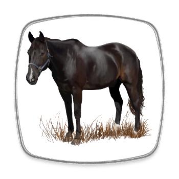 Cheval - Magnet carré - blanc - Devant