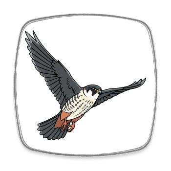 Baumfalke Falke Greifvogel  - Viereckiger Kühlschrankmagnet - Weiß - Vorne
