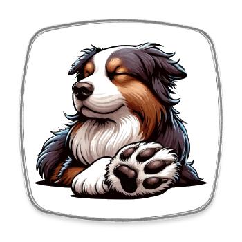 Australian Shepherd Aussie Aussiebesitzer Aussies - Viereckiger Kühlschrankmagnet - Weiß - Vorne
