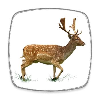 Deer in the grass forest - Square fridge magnet - white - Front
