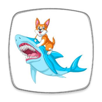 Chemise drôle d’animal drôle de requin chevauché de corgi - Magnet carré - blanc - Devant