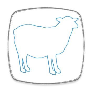 Sheep Silhouette - Square fridge magnet - white - Front