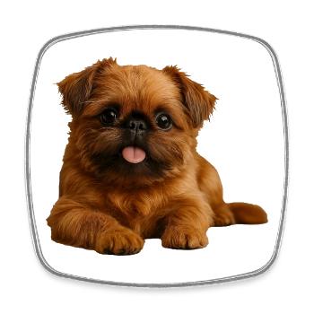 Belgische Zwerggriffon Brüsseler Griffon - Viereckiger Kühlschrankmagnet - Weiß - Vorne