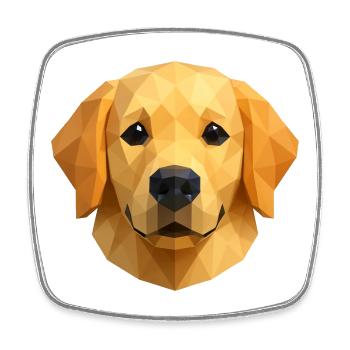 Polygon Golden Retriever Geometrisches Hundedesign - Viereckiger Kühlschrankmagnet - Weiß - Vorne