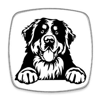 Tête de chien de montagne bernois - Magnet carré - blanc - Devant