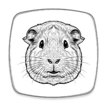 guinea pig - Square fridge magnet - white - Front