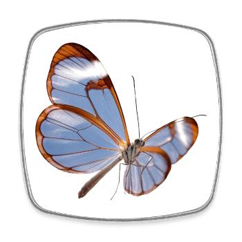 Glasflügler Schmetterling Transparent Design - Viereckiger Kühlschrankmagnet - Weiß - Vorne